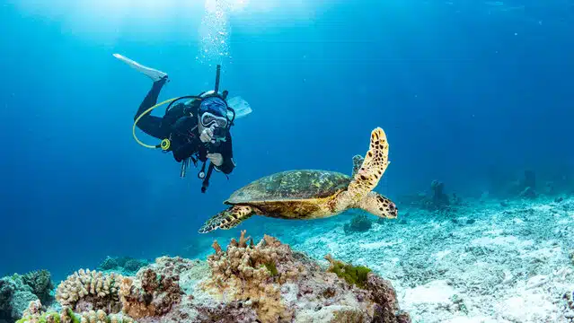 Scuba Diving in Salalah The Ultimate Dive Adventure in Oman