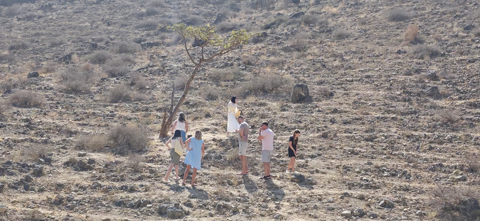 Полный день в Западной Салале – Карибский пляж Фазайя