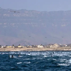 Ночная приключенческая поездка на острова Халанийят